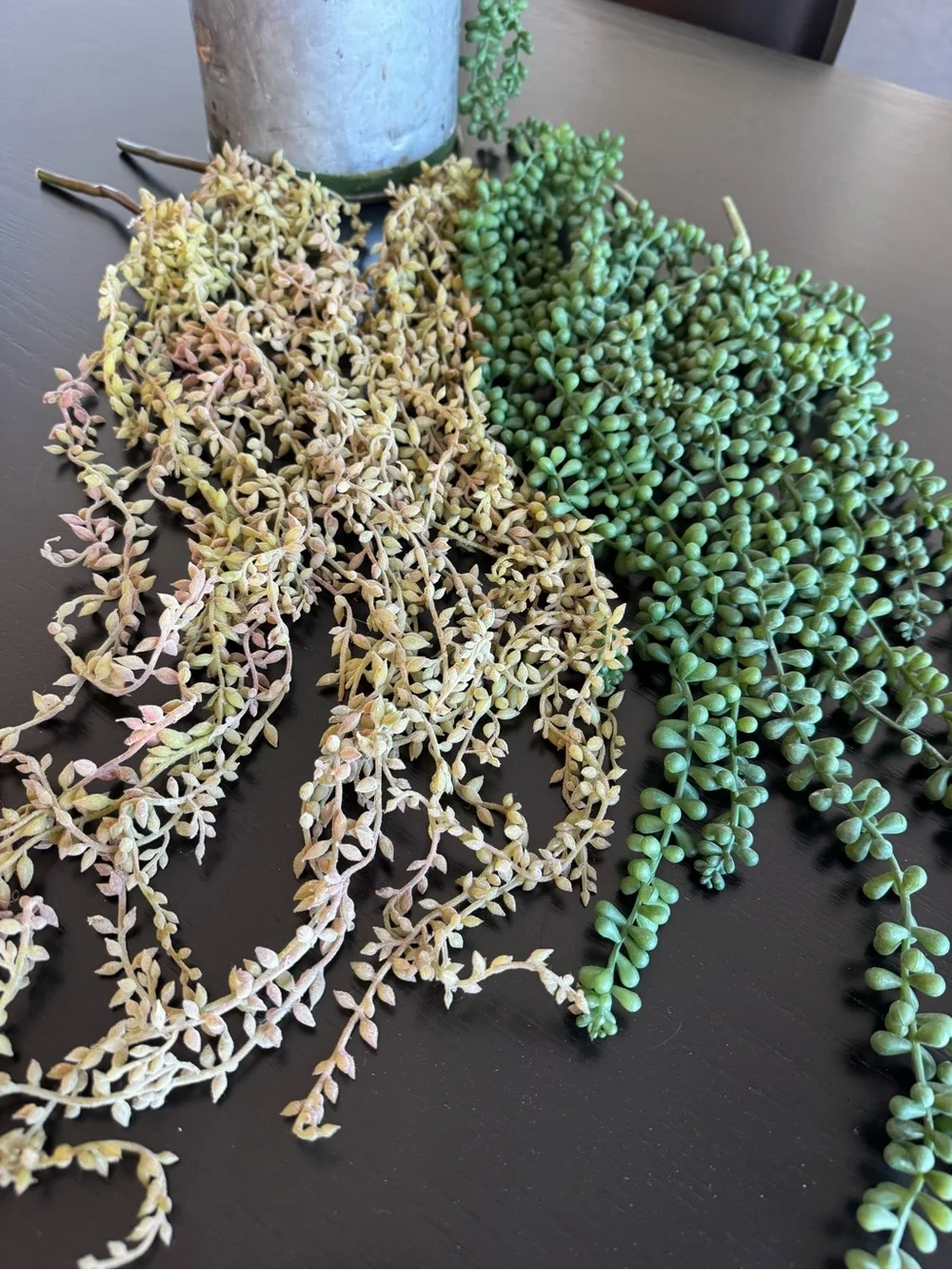 Faux Succulent Hanging Stem - Green and Cream